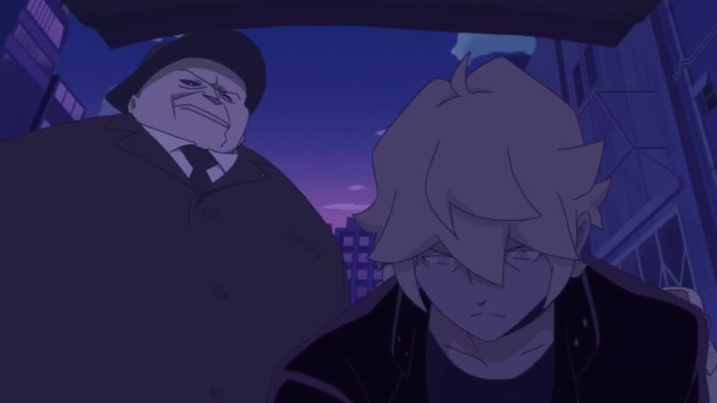 Широ флексит