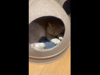 [instagram] 이든(eden) 201027