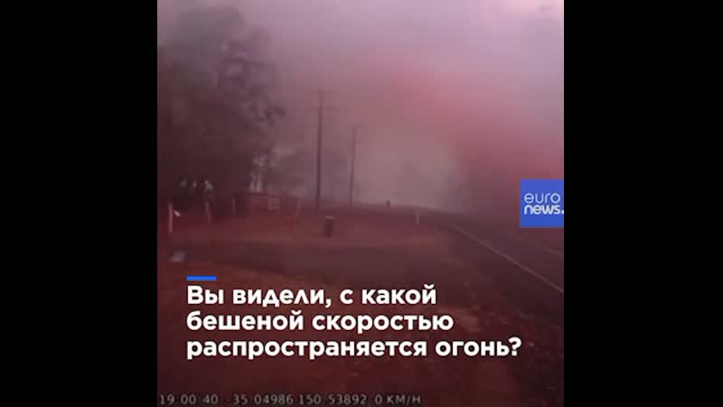 Вы когда нибудь видели, с какой бешеной скоростью распространяется огонь?