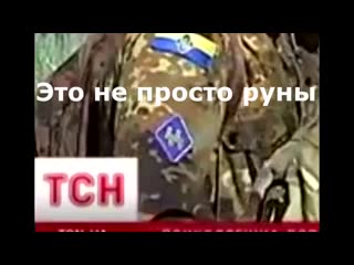 Нашии ss в украинской молодые "армии"