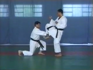 Kata shotokan heian shodan nidan sandan yondan godan bassai dai (bunkai) luca valdes