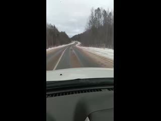 Video 20201121 120301 mp4