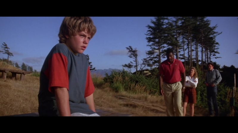 Освободите вилли 1993