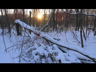 Покровское стрешнево