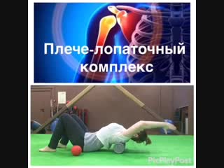 Профилактика травм в плечевом поясе