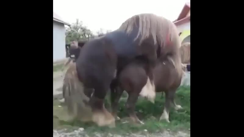 Система охлаждения