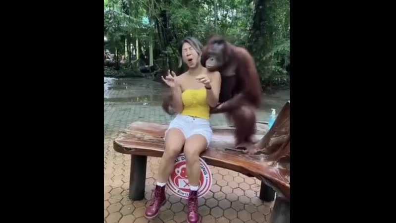 Фотосессия с обезьяной