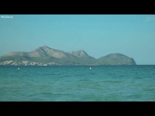 Housenick take our chances