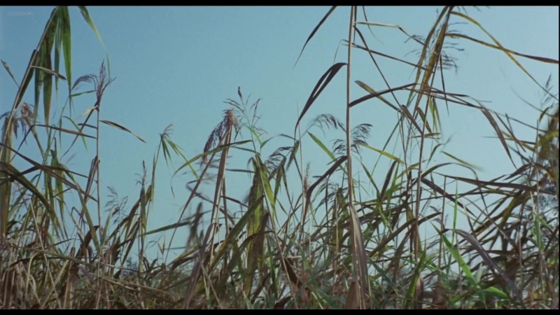 Ingrid steeger die sexabenteuer der drei musketiere (1971)