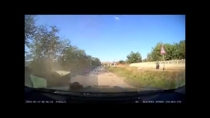 Будни закарпатья лобовое столкновение лошади и автомобиля