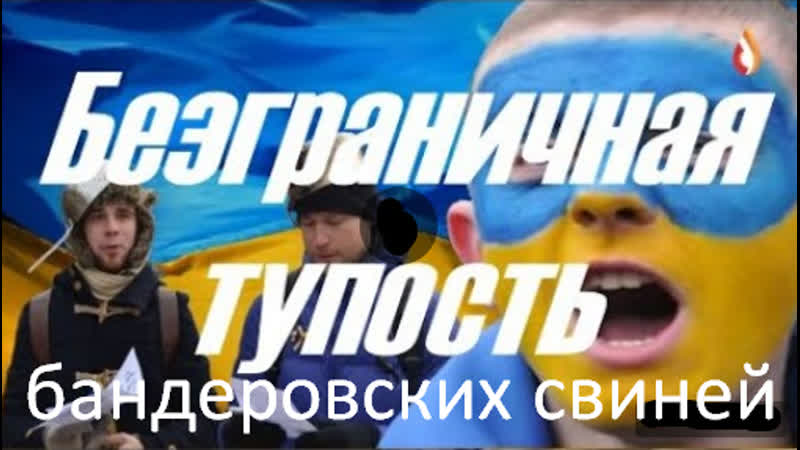 Безграничная тупость бандеровских свиней