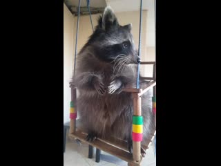 Истинный ценитель кушает медленно, смакует каждый кусочек!!!