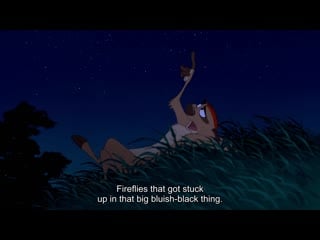 Fireflies that got stuck up in that big bluish black thing