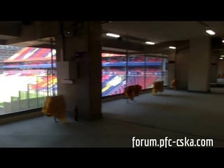 Pfc cska stadium (27 08 2016)