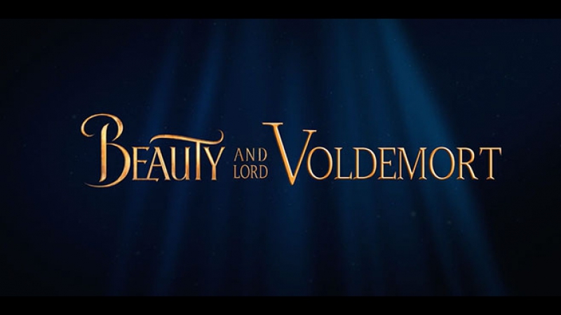 Красавица и волдеморт