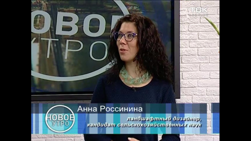 Советы ландшафтного дизайнера׃ гладиолусы