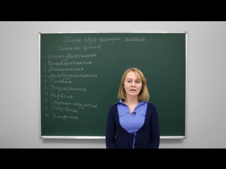 Анатомия и физиология человека общий обзор организма человека центр онлайн обучения «фоксфорд»