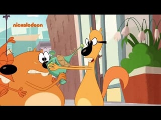 Baland poshnali poyabzal, paypoq, libos, porno