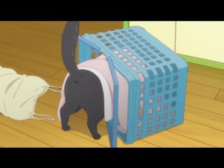 [субтитры | 04 end] она и ее кот всё меняется | kanojo to kanojo no neko everything flows | 4 серия субтитры | sovet romantica