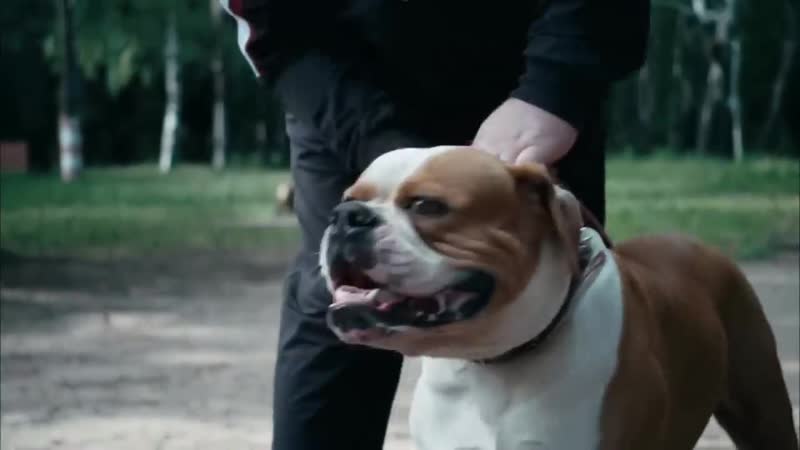 [faust21century] метод реальные маньяки из сериала | прототипы серийных убийц | колыбель ужаса | feat just илья