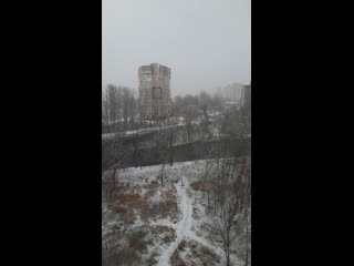 Live наше рыбацкое
