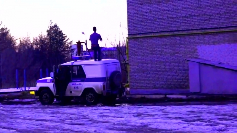 🌲лесные офники №33🌲сальто🌲