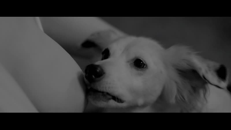 Judy greer nude into the dark s02e09 (2020) hd 1080p watch online