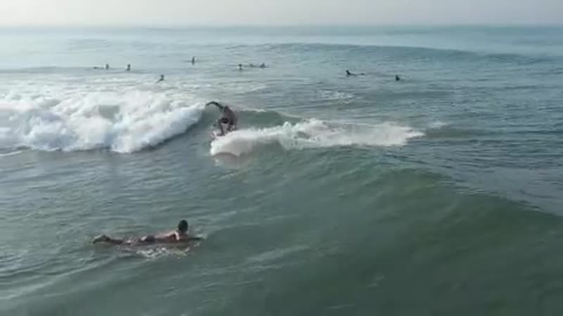 @nikita avdeev surf