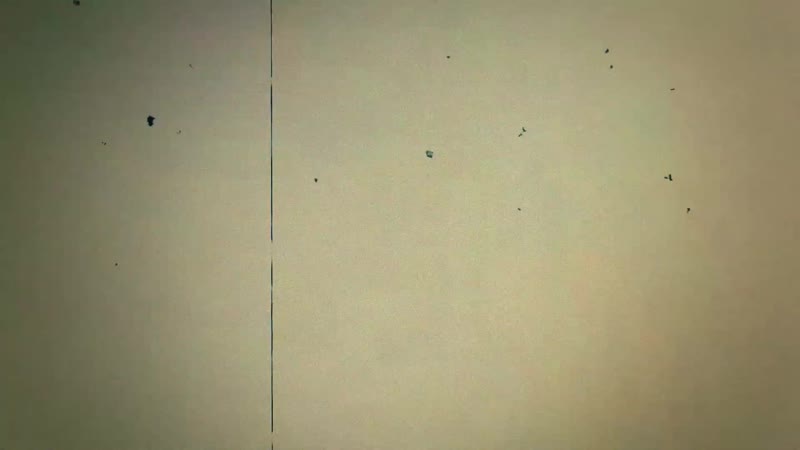 Саўка ды грышка пра «ціхароў» | саа и гришка про «тихарей» <#радыёсвабода>