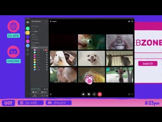 Discord server video chat