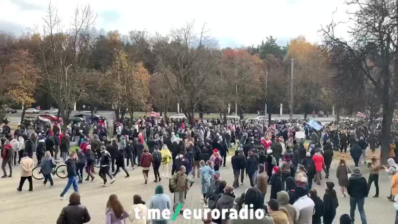 Калона менск