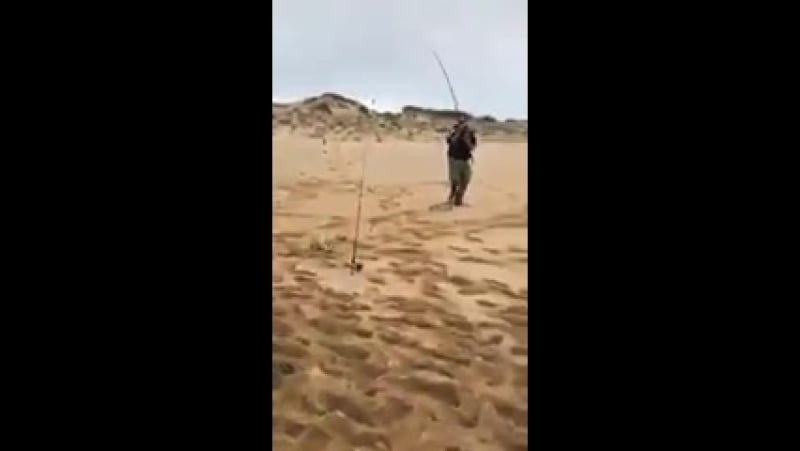 Наглые людишки, это мой улов