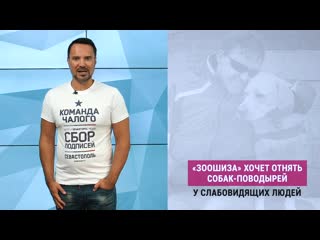 «зоошиза» хочет отнять молодые поводырей у слабовидящих людей (руслан осташко)