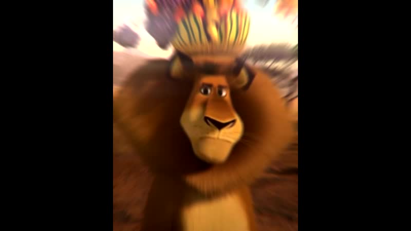 Страстный мадагаскар madly madagascar (,мультфильм,сша,0) лицензия hd - BEST XXX TUBE