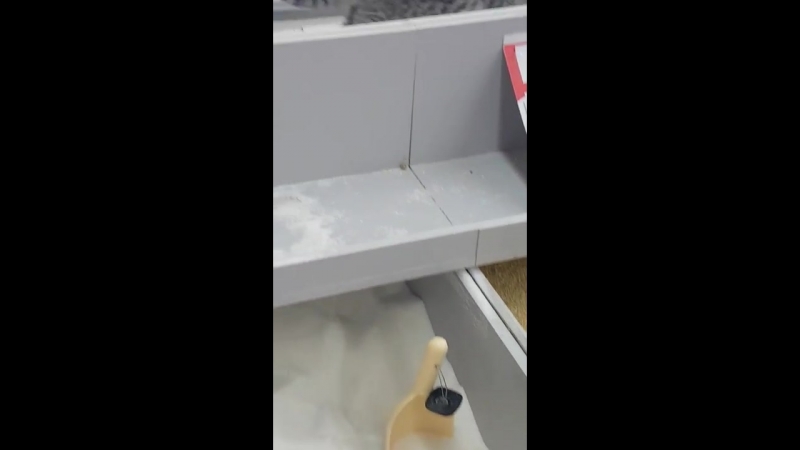 Природу не обманешь! в киевском супермаркете кот решил справить нужду в весовой сахар