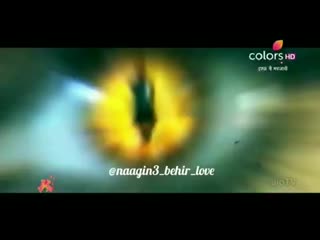 Naagin3 behir love bwupe3abetx mp4