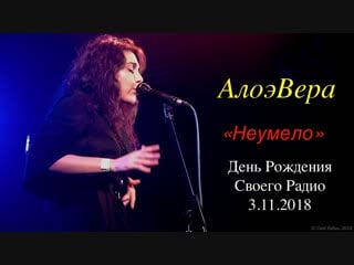 Алоэвера неумело