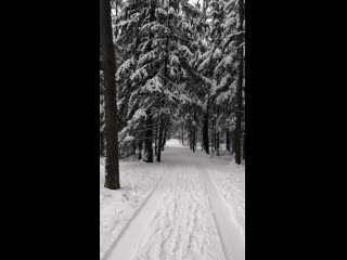 Видео от тани пироговой