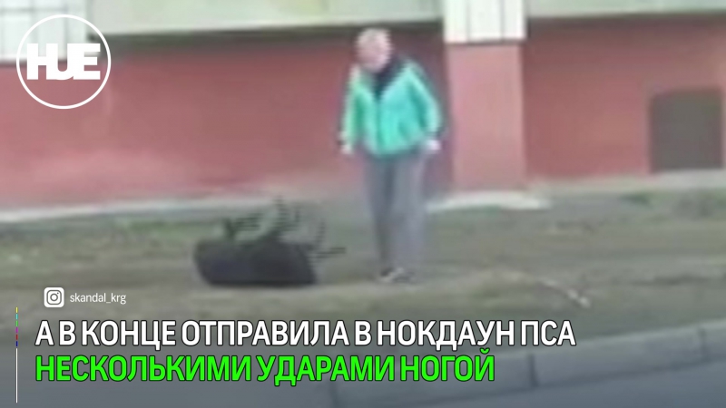 В караганде сняли на видео, как женщина избивала свою молодые на прогулке