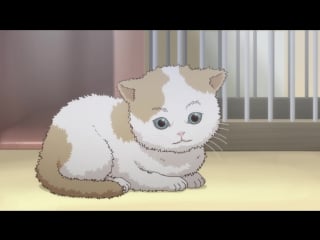 [sa4ko aka kiyoso] yahari ore no seishun love come wa machigatteiru zoku ova