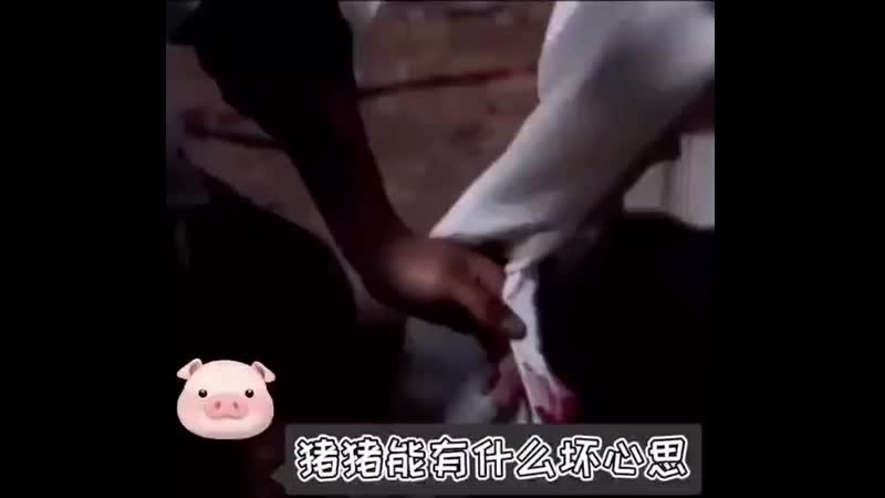 Lan zhan что за стоны?😳