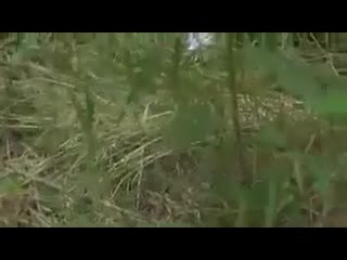 Keely in the woods, не секс porn sex знакомства анал хентай домашнее студентка не секс hot hd знакомства ана