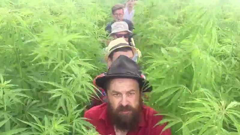 Добраночь нормальные герои