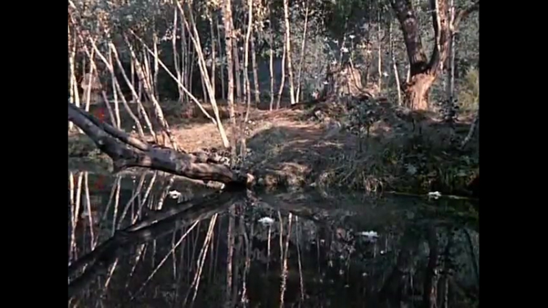 Фильм сказка " морозко "
