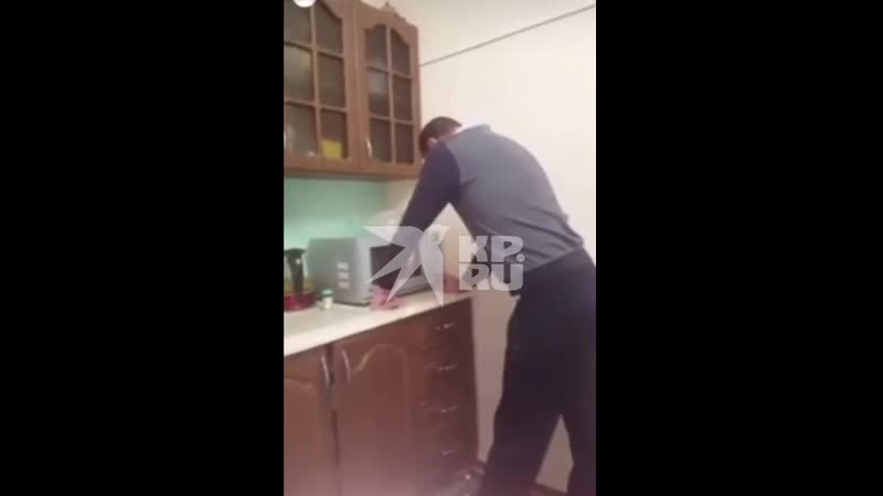 Мужчина засунул кота в микроволноу и лючил печь