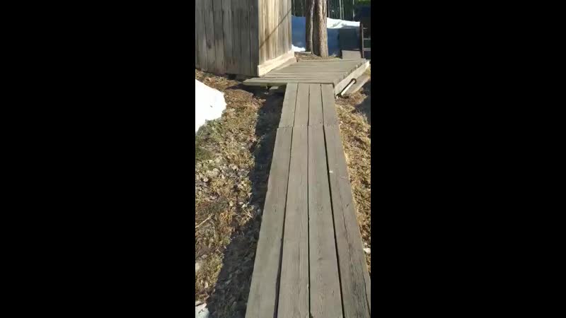 Набралась наглости ласка и вперёд