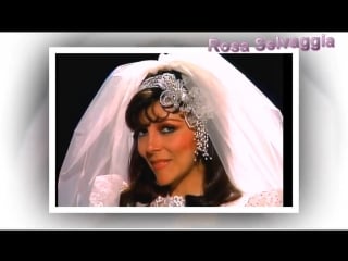 Ricordando rosa selvaggia