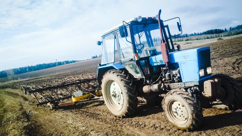 35# | new dj`mike | fs19 | ягодное new