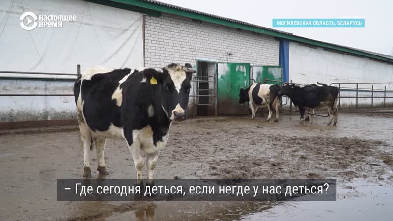 Зарплаты в белорусском колхозе