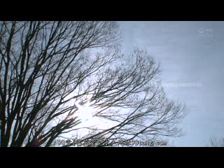 Airi kijima jul 195 2020 (madonna) / япония секс порно /